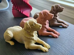 Reimagined Art: Retriever(Golden, Red, Chocolate)