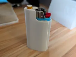Bic Lighter + Cigarette Holder –Compact Combo Case