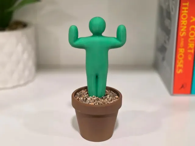 Meccha Chameleon Cactus Planter With Hidden Comp. — Фото 3 из 3