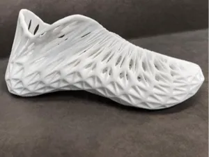 THE LUJUSHOE