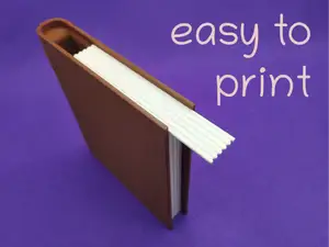 secret book safe