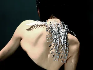 Soft Biomorphic Spine