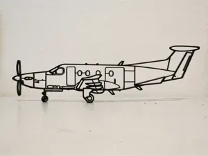 Pilatus PC-12 Eagle Wall Art