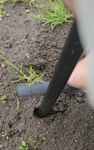 earthworm attractant 30 cm