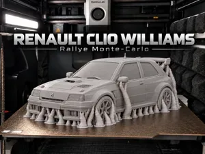 Renault Clio Williams de rally