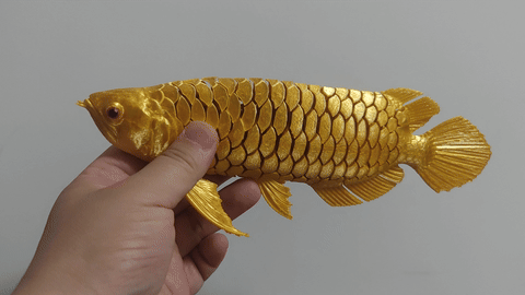Arowana