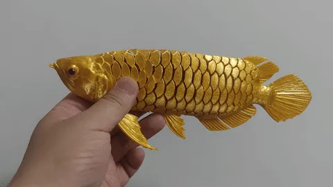 Arowana