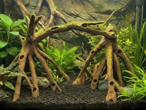 Aquarium Terrarium Natural Mangrove Root Archway
