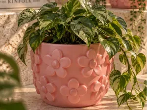Bloom Pop Planter