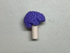 Big Brick * Brain