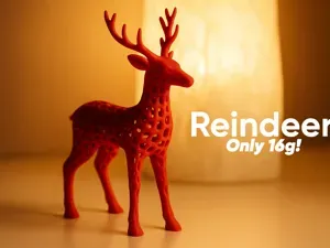 Reindeer super light