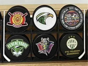 hockey puck stand with hockey stick