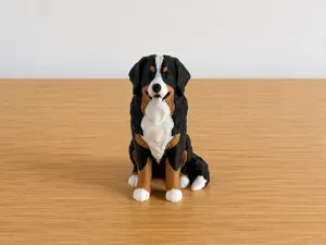 Bernese Mountain Dog Puppy – Cute Tricolor Dog
