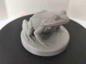 FROG model on the pedestal