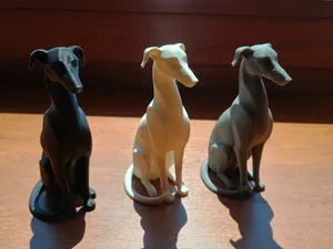 Italian Greyhound