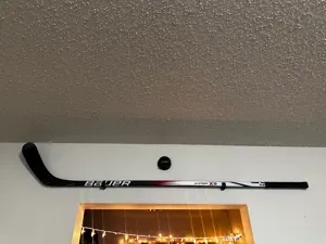 Hockey Stick Wall Mount