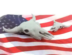 Realistic Buffalo Skull