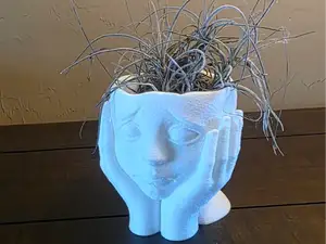 Worried Look Fuzzy Air Plant Planter Holder
