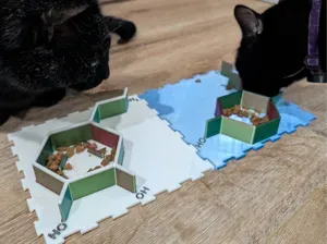 Curious Paws - Molecule Food Bowls