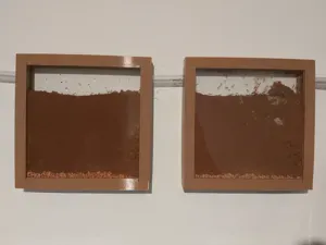 ColonyForge Formicarium