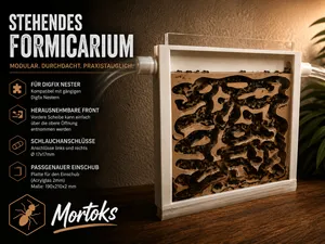 Formicarium stehend