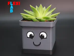 Smile Face Pot for succulents and cactus plant