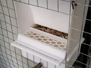 Comedero Automático para Cacatuas y Aves
