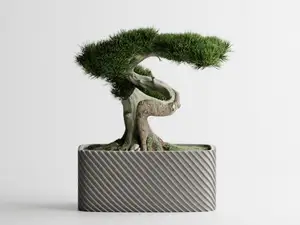 Plant Pot Fine Rib Rounded Rectangle Low