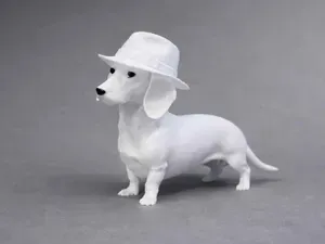 Dachshund, Sausage Dog with Hat - Animal
