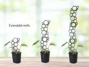 Extendable circle/bubble/ring trellis