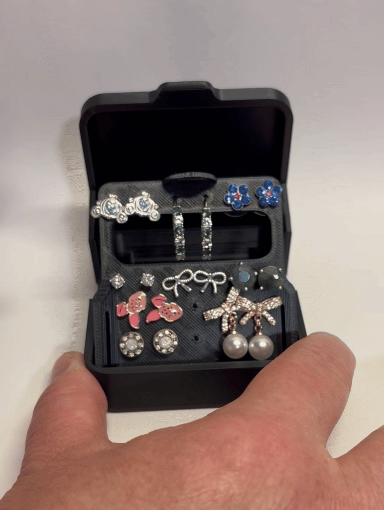 Earring Box - Travel Organizer