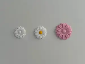 Cute tiny daisy