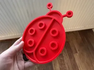 Montessori Sorting Ladybug Tray