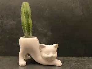 Planter Cat