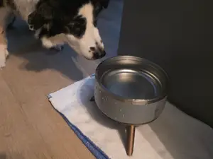Dog water food dish stand. cat dog pets dish bowl