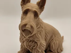 Scottish Terrier