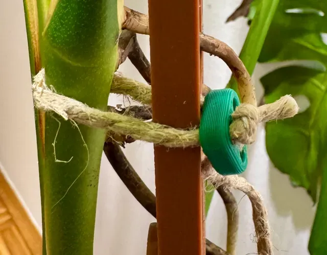 Adjustable Twine Plant Tie: Knot Once, Pull to Fit — Фото 2 из 8
