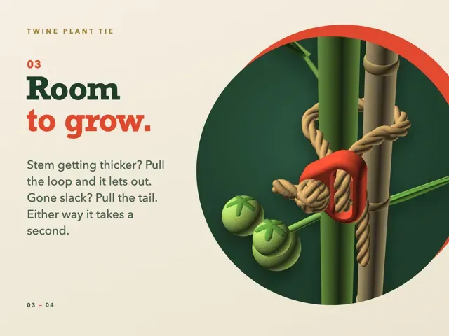 Adjustable Twine Plant Tie: Knot Once, Pull to Fit — Фото 7 из 8