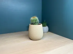 Spiral Mini Planter | Modern Succulent Pot
