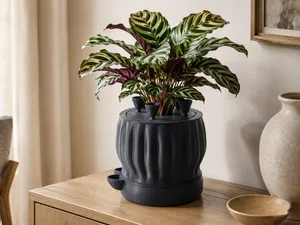 Gnat Catcher Self-Watering Planter