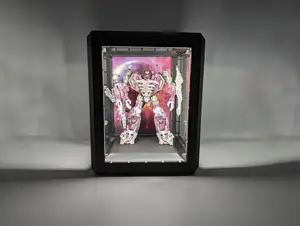 Display Case