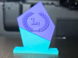 1st 2nd and 3rd customizable trophy's