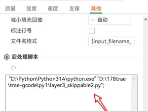 后处理脚本测试文件--彻底关闭第三层裹头检测(layer3_skippable2.py)
