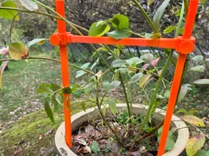 Modular Adjustable Plant Support System