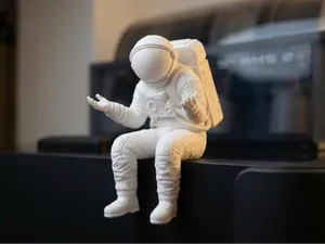 Astro-Shrug: The Perplexed Astronaut