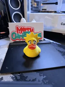 The Printsons! - The Clever Quacker