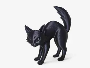 Gato enfadado