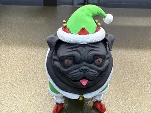Santa's little elf helper Pug dog