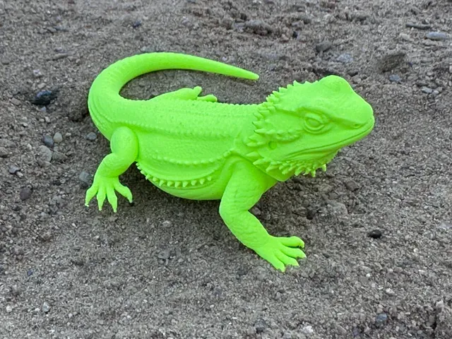 Neon Green Bearded Dragon - agama vousatá