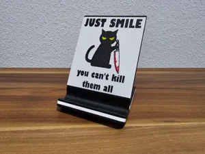 "JUST SMILE" -THE FRAME- COVER